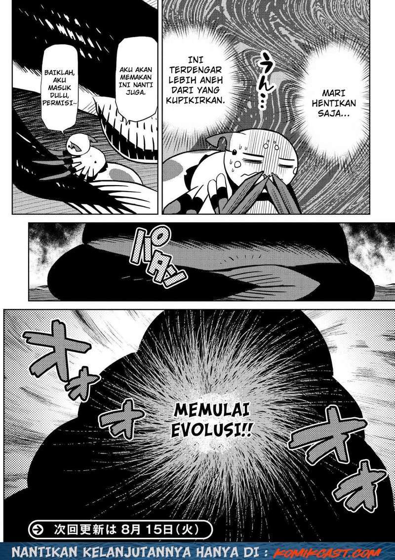 Kumo desu ga, Nani Ka?